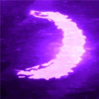 凤凰彩票app下载官网下载安卓截图